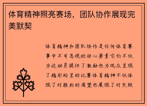 体育精神照亮赛场，团队协作展现完美默契