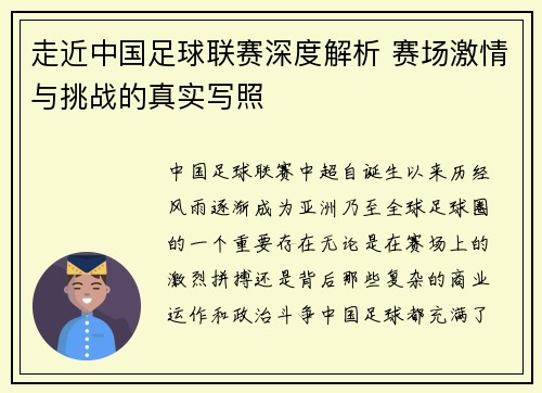 走近中国足球联赛深度解析 赛场激情与挑战的真实写照